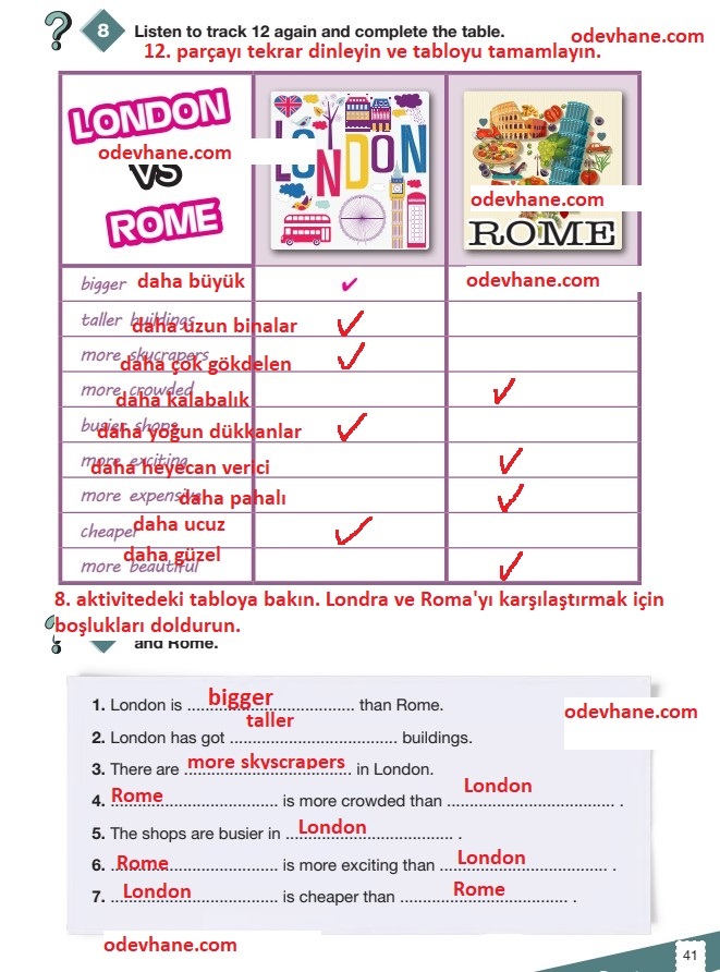 6. Sınıf İngilizce Ders Kitabı Sayfa 41 Cevapları ve Türkçe Çevirisi Pasifik Yayınları