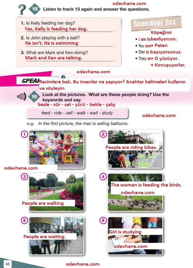 6. Sınıf İngilizce Ders Kitabı Sayfa 46 Cevapları ve Türkçe Çevirisi Pasifik Yayınları