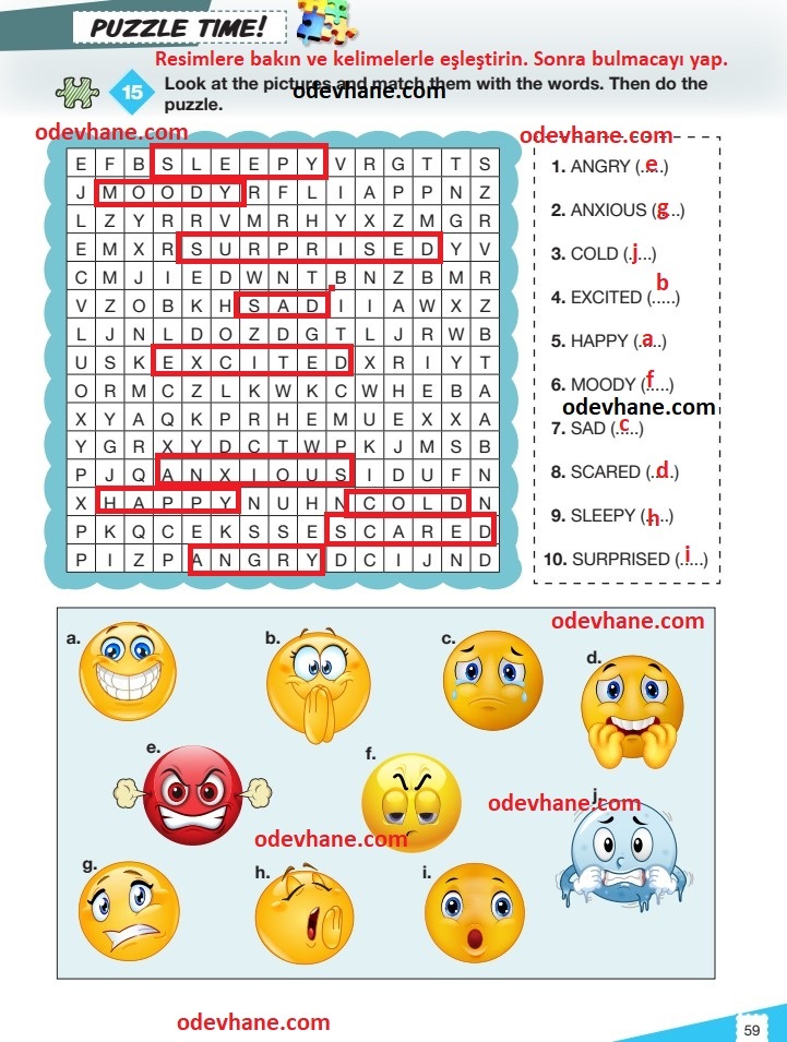 6. Sınıf İngilizce Ders Kitabı Sayfa 59 Cevapları ve Türkçe Çevirisi Pasifik Yayınları