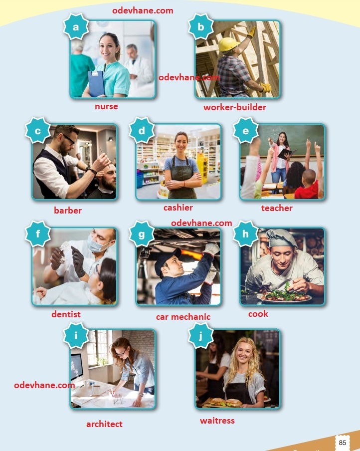 6. Sınıf İngilizce Ders Kitabı Sayfa 85 Cevapları ve Türkçe Çevirisi Pasifik Yayınları